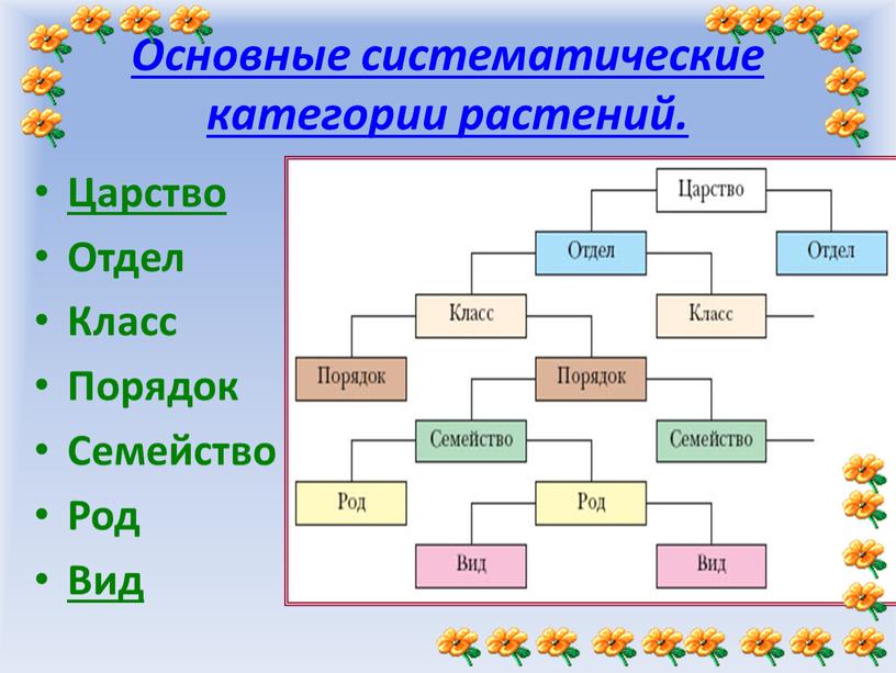 Основные систематические категории растений