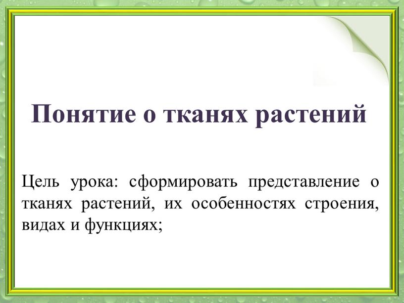 Понятие о тканях растений Цель урока: сформировать представление о тканях растений, их особенностях строения, видах и функциях;