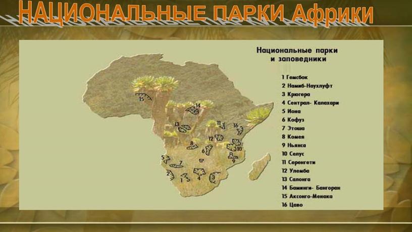 Презентация по  окружающему миру на тему Национальные парки мира