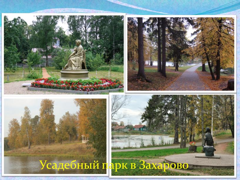 Усадебный парк в Захарово