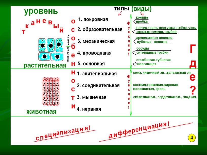 Подготовка учащихся к ЕНТ