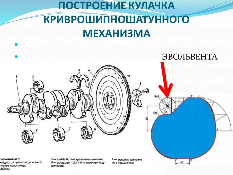 ПОСТРОЕНИЕ КУЛАЧКА КРИВРОШИПНОШАТУННОГО