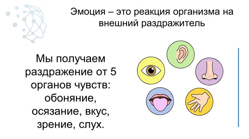 Мы получаем раздражение от 5 органов чувств: обоняние, осязание, вкус, зрение, слух