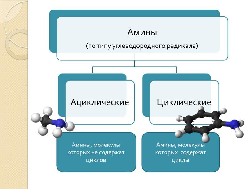 Амины, молекулы которых не содержат циклов