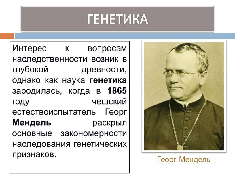 ГЕНЕТИКА Интерес к вопросам наследственности возник в глубокой древности, однако как наука генетика зародилась, когда в 1865 году чешский естествоиспытатель