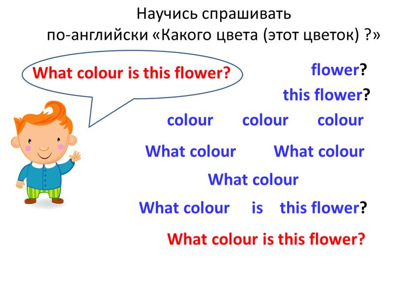 Научись спрашивать по-английски «Какого цвета (этот цветок) ?» colour this flower? flower?