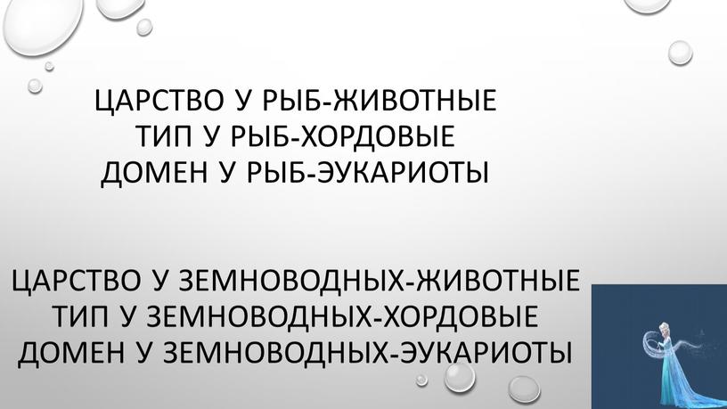 Царство у рыб-животные Тип у рыб-хордовые домен у рыб-эукариоты