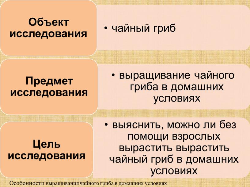 Особенности выращивания чайного гриба в домашних условиях