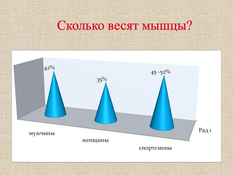 Сколько весят мышцы?