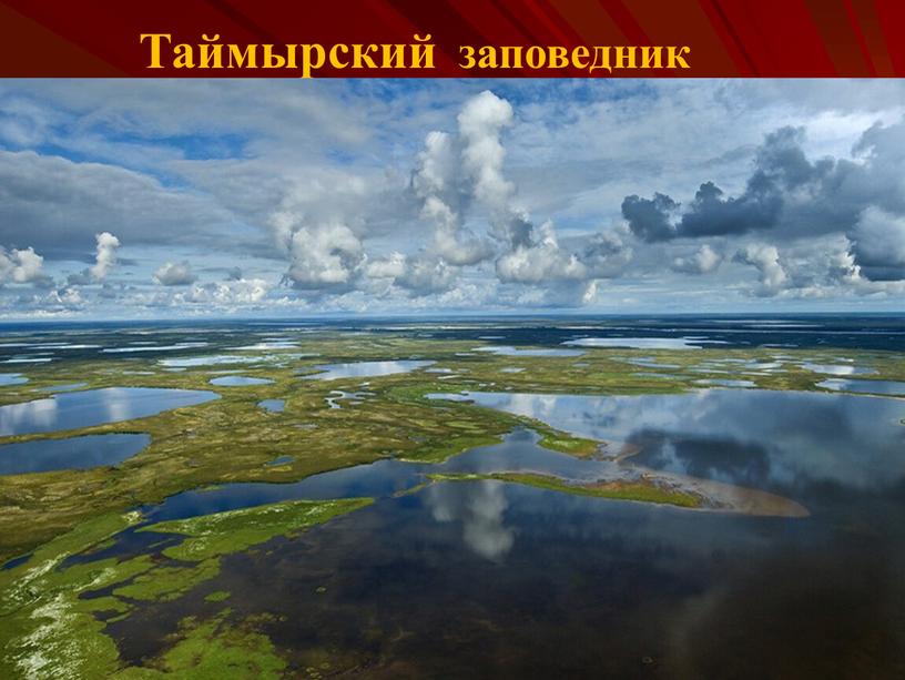 Таймырский заповедник