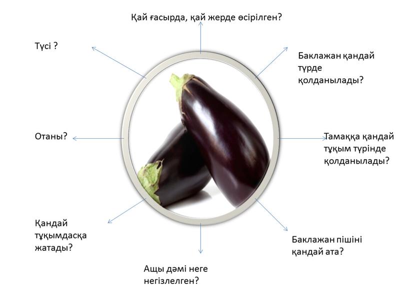 Баклажан қандай түрде қолданылады?