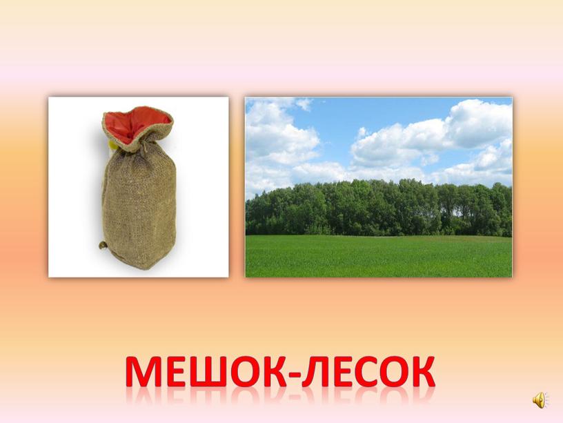 Мешок-лесок