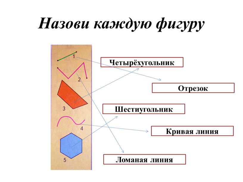 Назови каждую фигуру Отрезок Ломаная линия