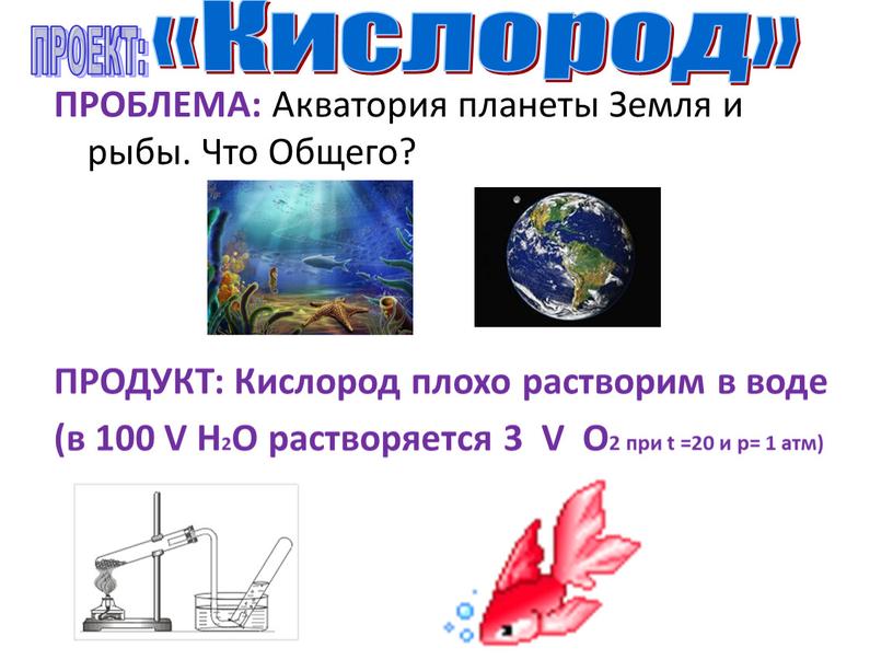 ПРОБЛЕМА: Акватория планеты Земля и рыбы