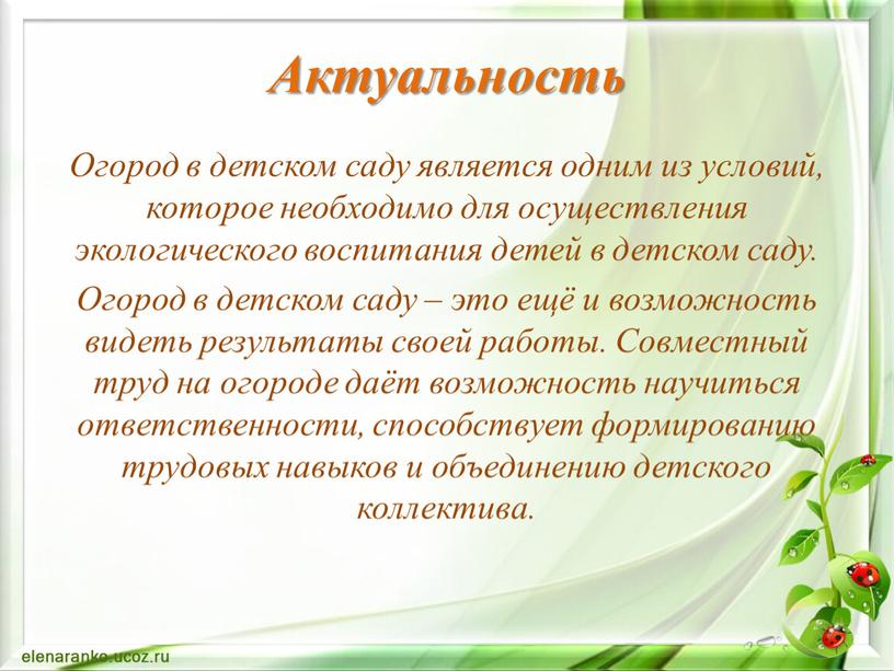 Актуальность Огород в детском саду является одним из условий, которое необходимо для осуществления экологического воспитания детей в детском саду