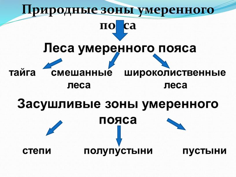 Природные зоны умеренного пояса