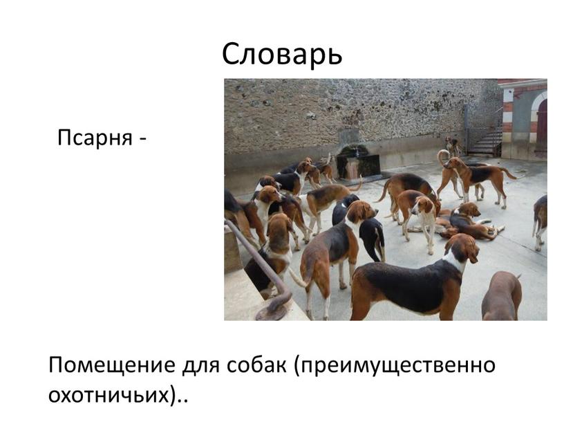 Словарь Псарня - Помещение для собак (преимущественно охотничьих)