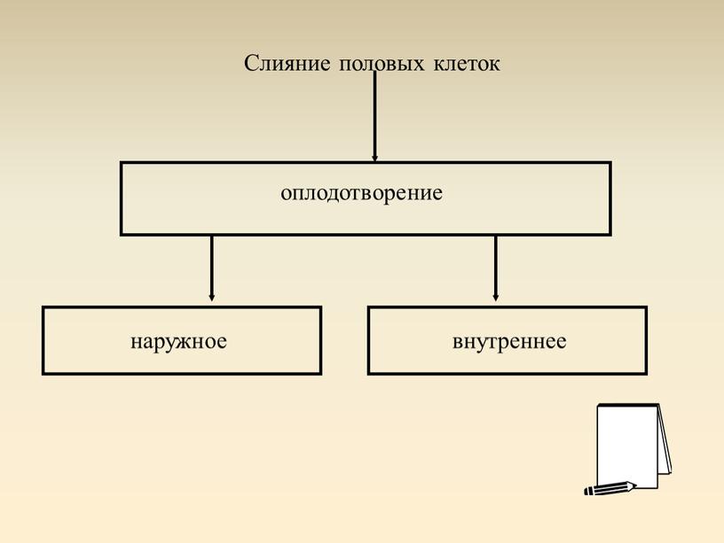 Слияние половых клеток