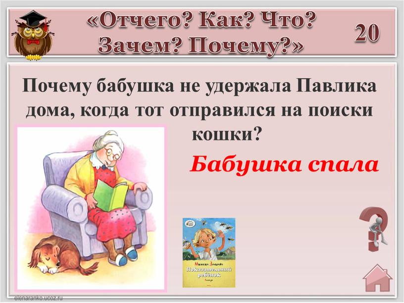 Почему бабушка не удержала Павлика дома, когда тот отправился на поиски кошки? «Отчего?