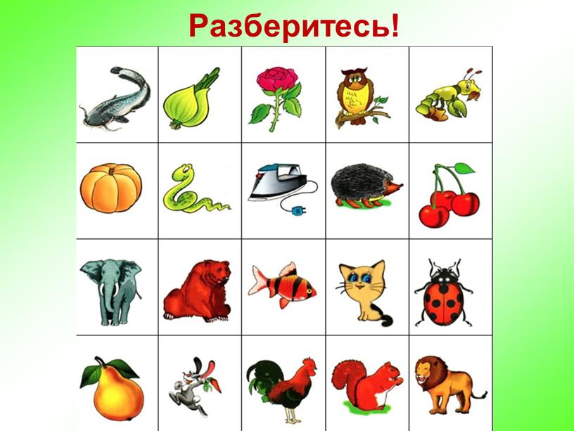 Разберитесь!