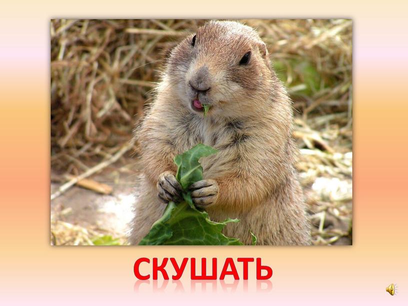 скушать