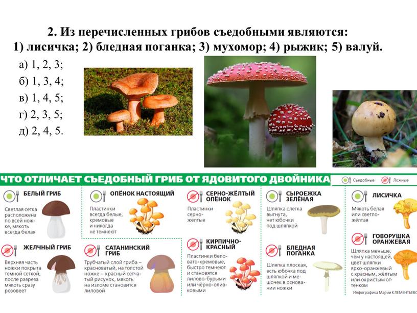 Из перечисленных грибов съедобными являются: 1) лисичка; 2) бледная поганка; 3) мухомор; 4) рыжик; 5) валуй