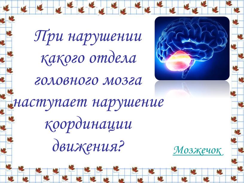 При нарушении какого отдела головного мозга наступает нарушение координации движения?