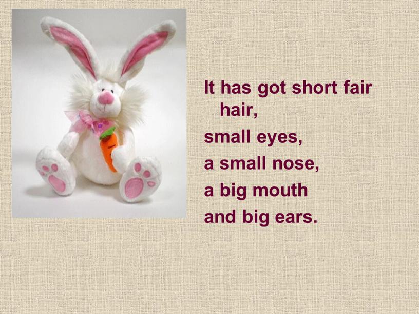 It has got short fair hair, small eyes, a small nose, a big mouth and big ears