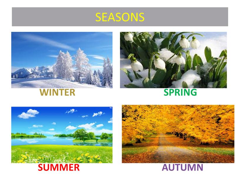 SEASONS WINTER SPRING