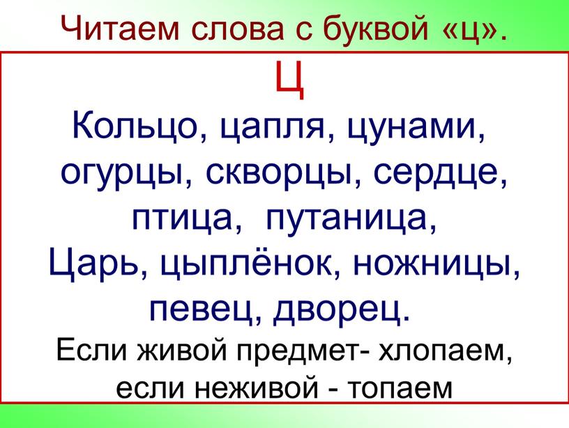 Ц Кольцо, цапля, цунами, огурцы, скворцы, сердце, птица, путаница,