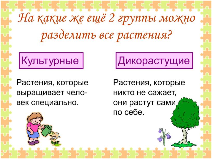 На какие же ещё 2 группы можно разделить все растения?