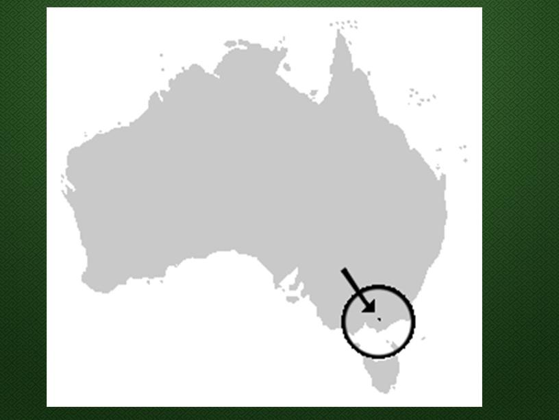 Земноводные австралии