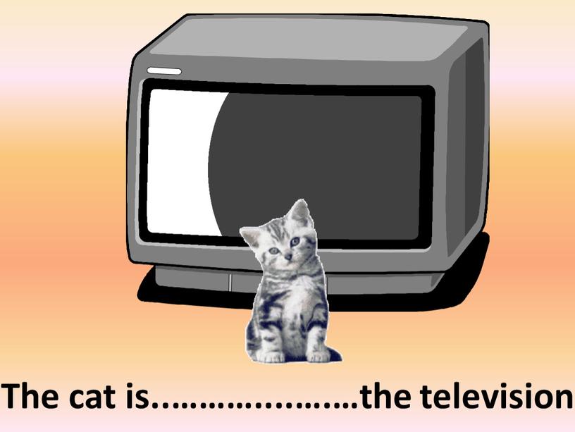 The cat is..………....….…the television