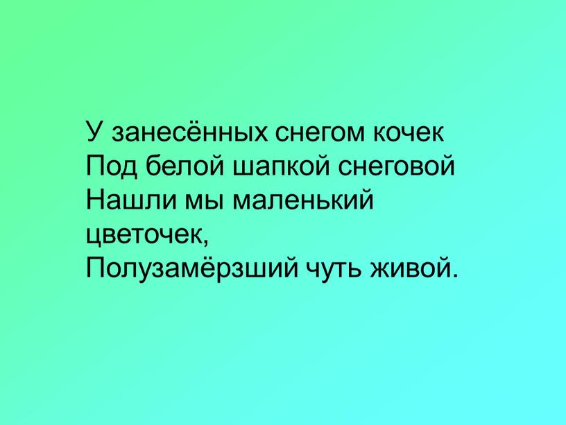 У занесённых снегом кочек Под белой шапкой снеговой