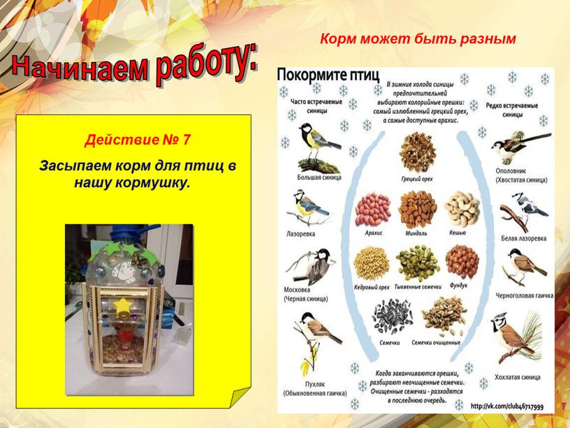Начинаем работу: Действие № 7 Засыпаем корм для птиц в нашу кормушку