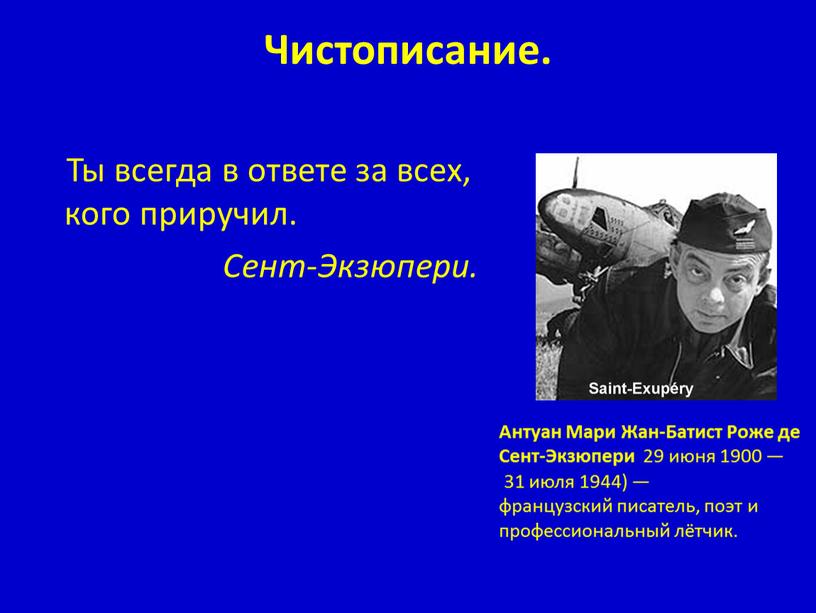 Чистописание. Ты всегда в ответе за всех, кого приручил