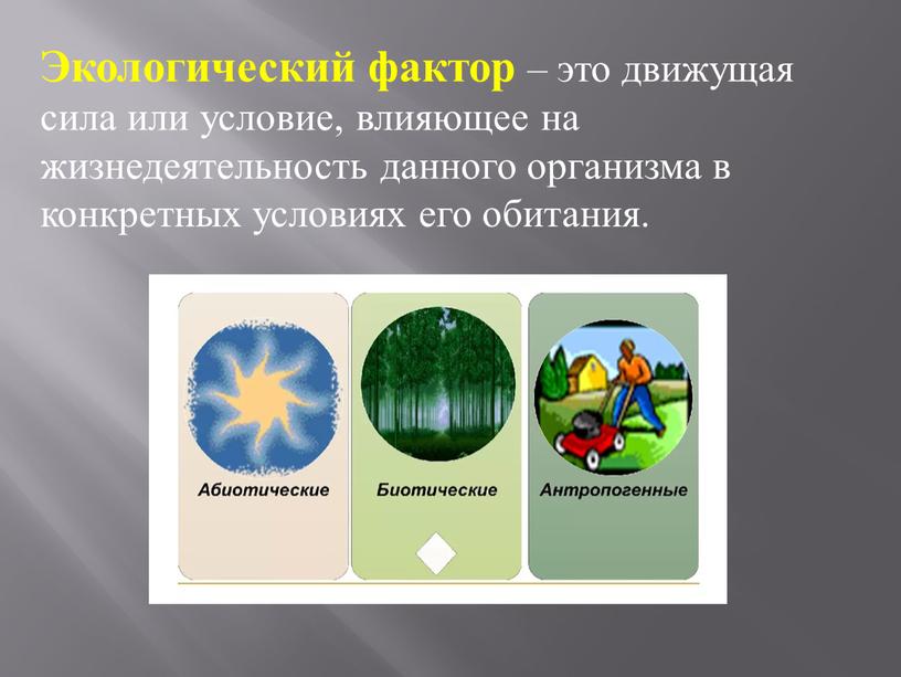 Экологический фактор – это движущая сила или условие, влияющее на жизнедеятельность данного организма в конкретных условиях его обитания