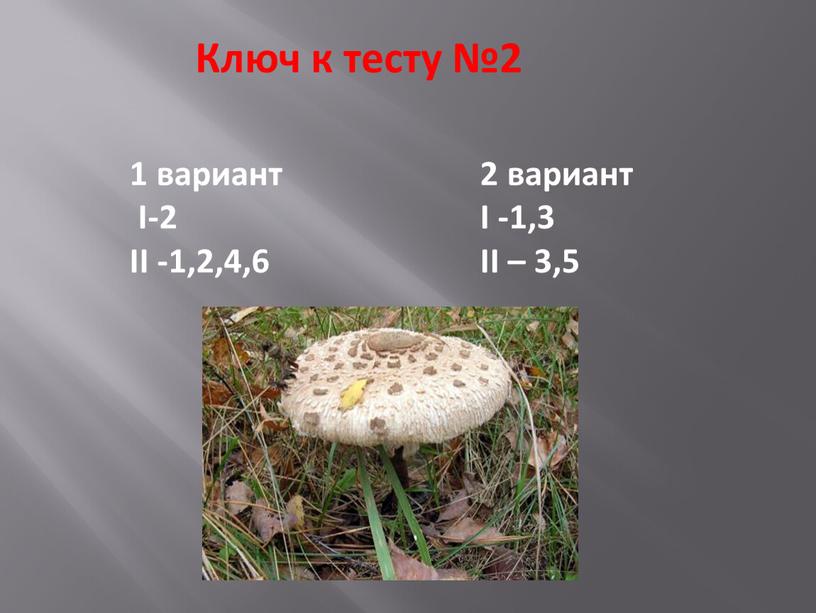 Ключ к тесту №2 1 вариант I-2