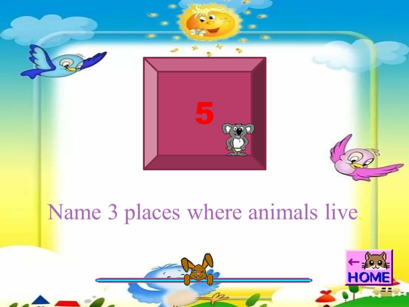 Name 3 places where animals live