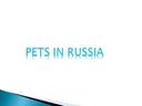 2 класс Pets in Russia and Russian Toys