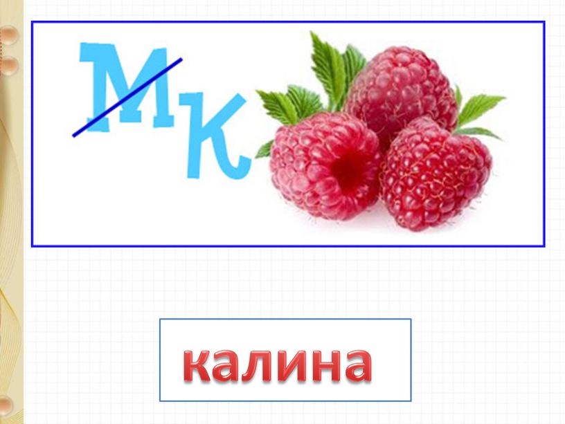 калина