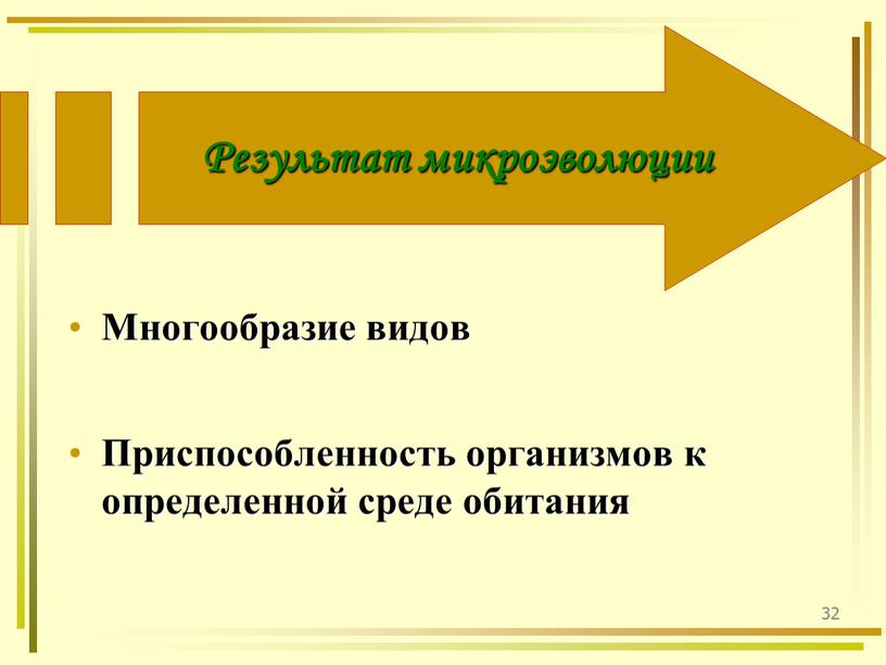 Результат микроэволюции Многообразие видов