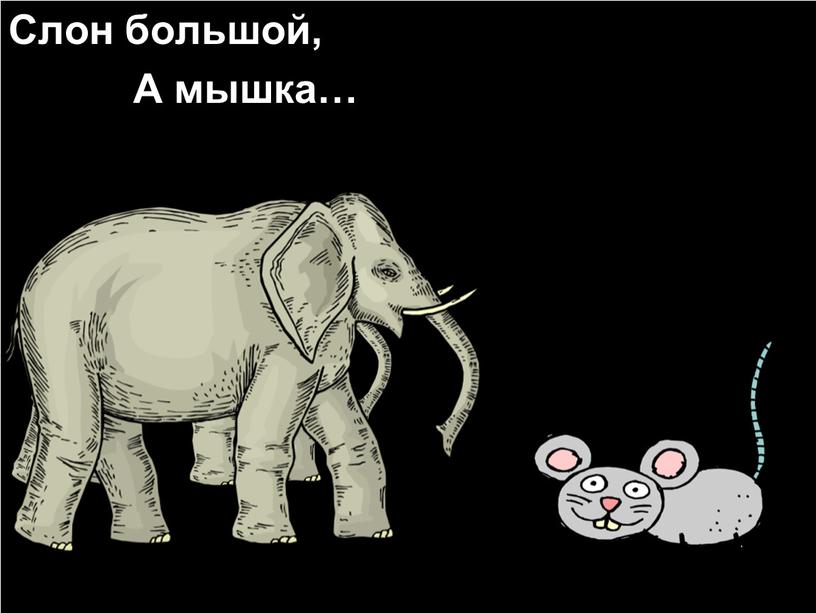 Слон большой, А мышка…