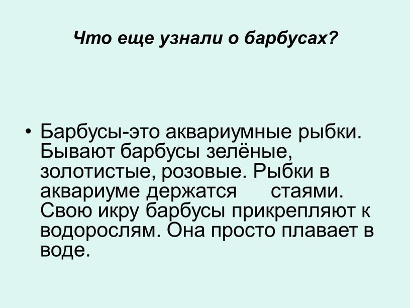 Что еще узнали о барбусах? Барбусы-это аквариумные рыбки