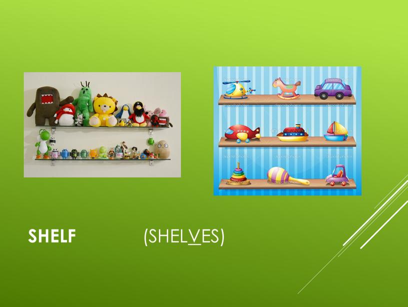 shelf (shel v es)