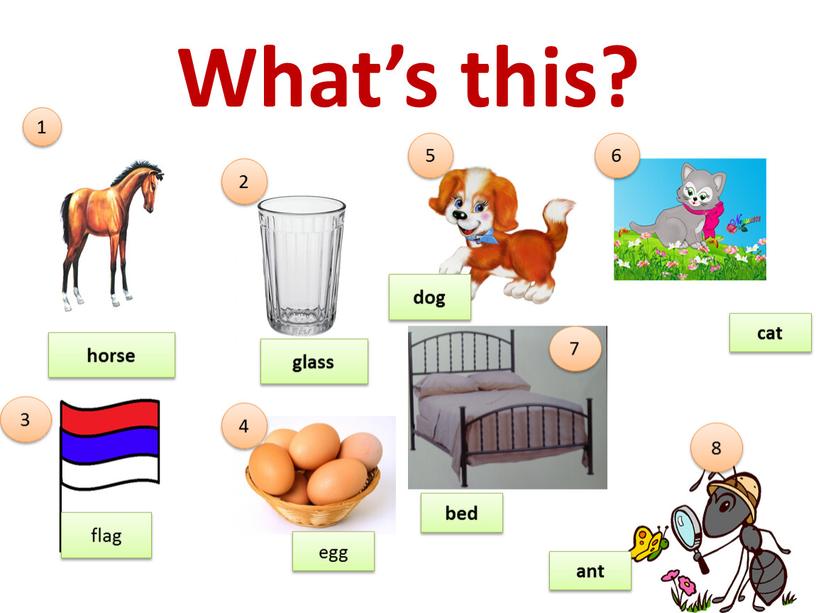 What’s this? horse 1 2 glass flag 3 egg 4 5 6 7 8 bed ant cat dog