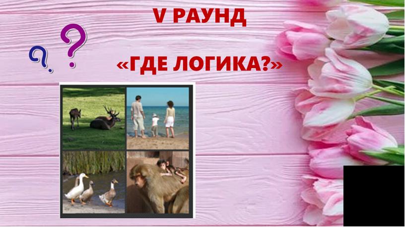 V РАУНД «ГДЕ ЛОГИКА?»