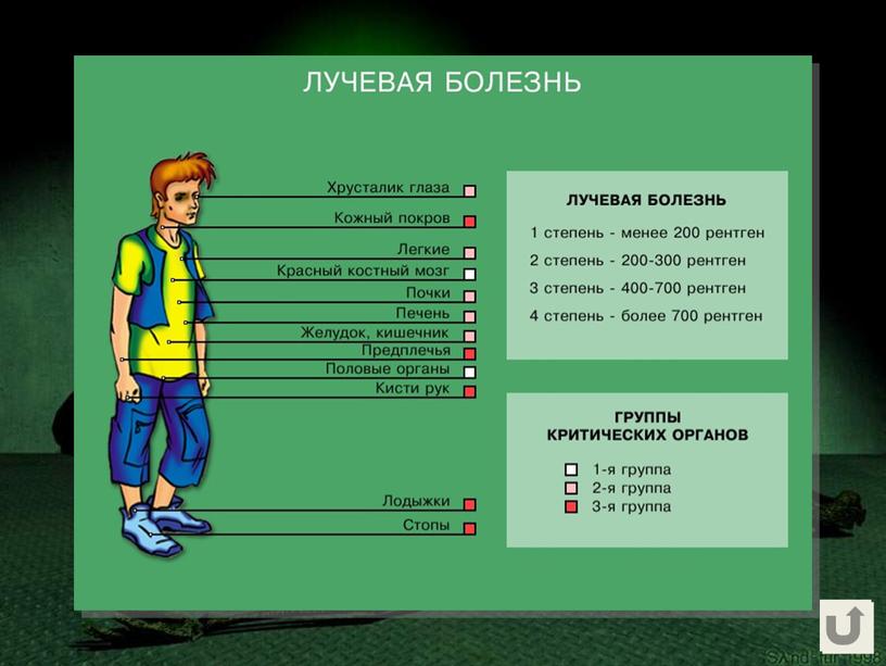 Аварии на радиационно-опасных объектах и их последствия