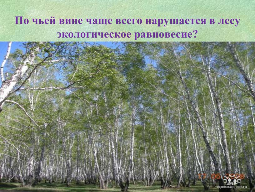 По чьей вине чаще всего нарушается в лесу экологическое равновесие?