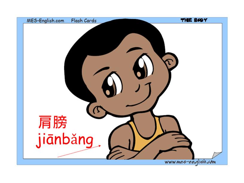 肩膀 jiānbǎng